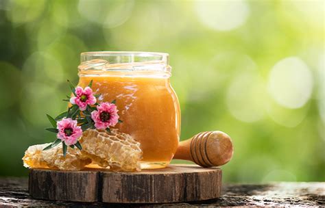 The Alchemical Essence of Honey: Unlocking its Transformational Powers